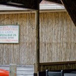 the bamboo shack