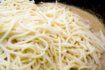 spaghetti in alfredo sauce spaghetti in alfredo sauce
