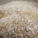 Homemade Dog food-grains