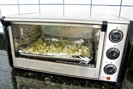 jalapeno-onion-frites-2 frites in the toaster oven