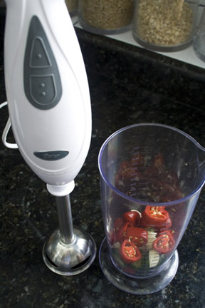 chili peppers and vertical blender chili peppers and vertical blender