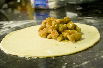 thai-chicken-curry-filling Thai Green Curry Empanada Filling