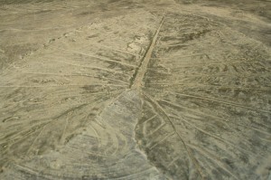 botanica organica floor 2