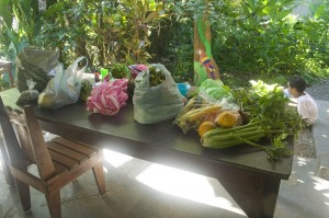 botanica organica produce